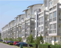 �������д�B