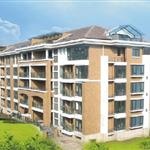 �����R���г�