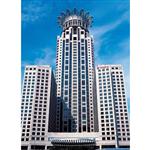 �Ϻ�����➩��������