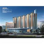 �������˲Ŵ�B