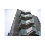 �ձ���Ԣ���