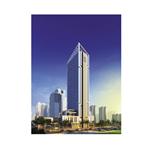 �����C���������