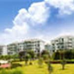 �����R����Է