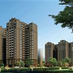 ��̶��ˮ��