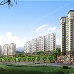 ����-�ٽ�����