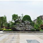 �Lɳ-�Z��ɽסլС�^