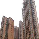 �Lɳ-������Է