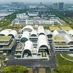 ���t�^�����������ģ��߷��t�^���������ģ����O����