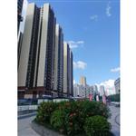 �ό����츮