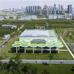 �Rƽ�w�����@