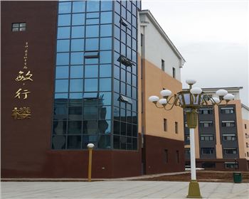 學校庭院景觀燈-省寶雞高新一中路燈工程