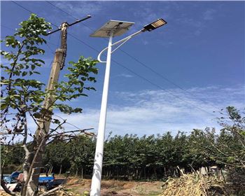 西安藍田縣竹峪鎮新農村太陽能路燈