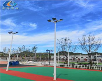 內蒙古延安學校路燈照明項目